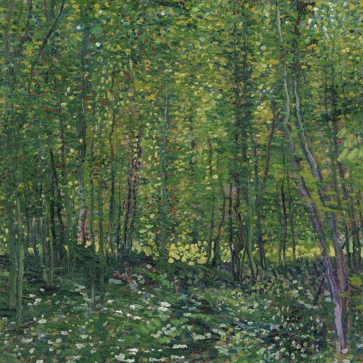 Trees and Undergrowth by Vincent Van Gogh